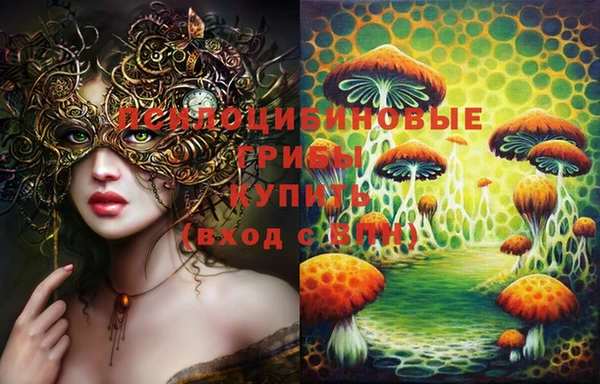 ПСИЛОЦИБИНОВЫЕ ГРИБЫ Лихославль