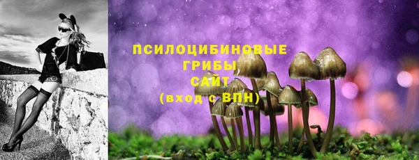 кокаин Краснослободск