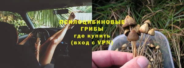 хмурый Лиски