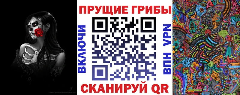 Псилоцибиновые грибы Psilocybe  Купить закладки  Армянск 
