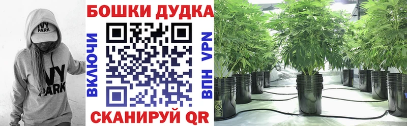 Купить где  Армянск  Каннабис OG Kush 
